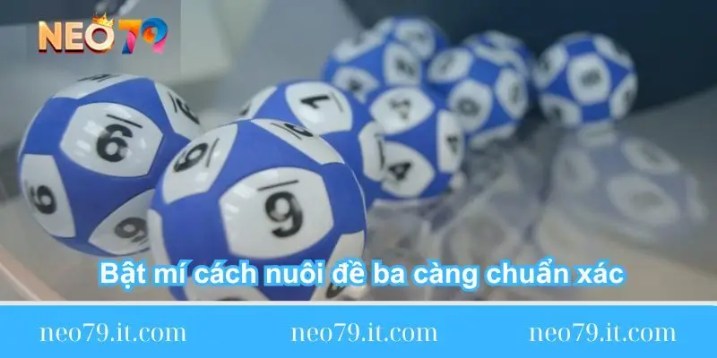 bat mi cach nuoi de ba cang chuan bat-mi-cach-nuoi-de-ba-cang-chuan-xac