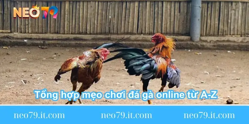 tong hop meo choi da ga online tu a z tong-hop-meo-choi-da-ga-online-tu-a-z